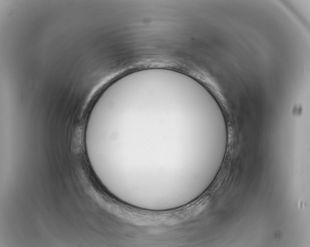 X0000091300012200708101058