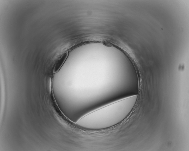X0000091300013200708101058
