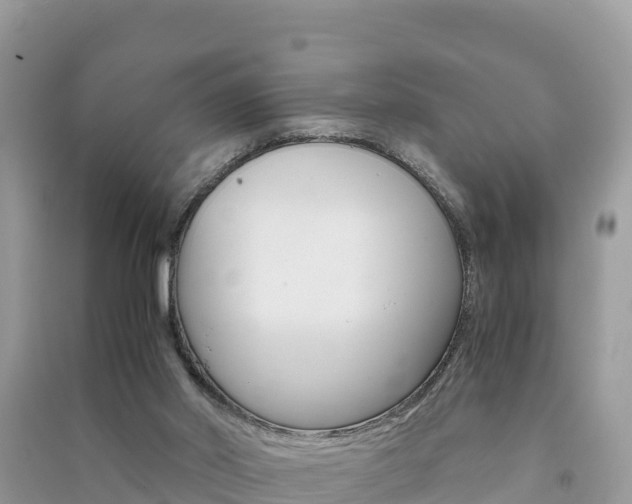X0000091300014200708101057