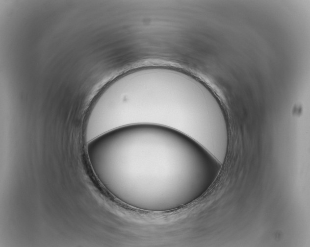 X0000091300015200708101057