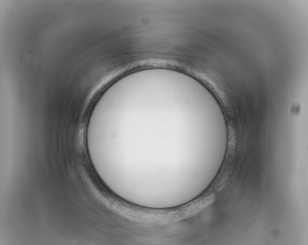 X0000091300016200708101057