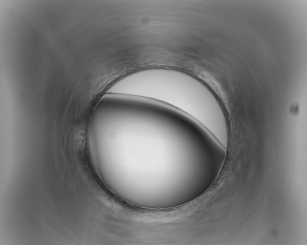 X0000091300017200708101057
