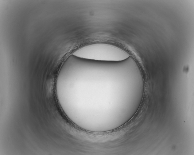 X0000091300018200708101057