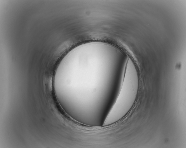 X0000091300019200708101057