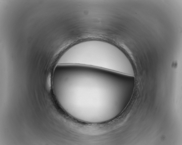 X0000091300020200708101057