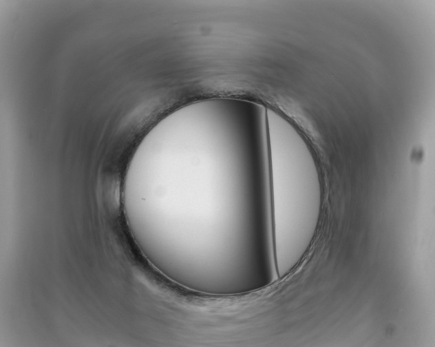 X0000091300021200708101057