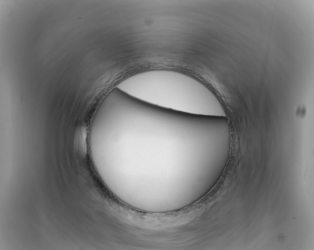 X0000091300022200708101057