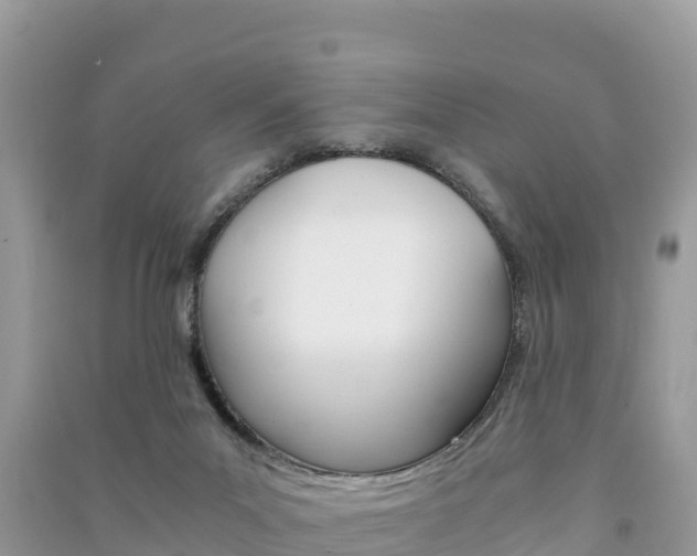 X0000091300023200708101057