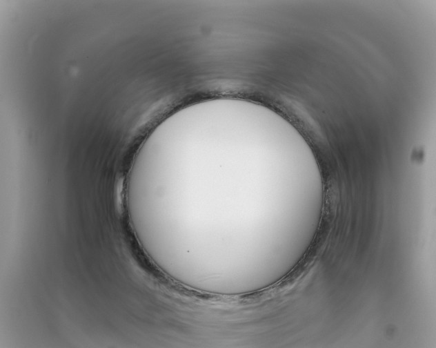 X0000091300024200708101057