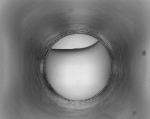 X0000091300026200708101057