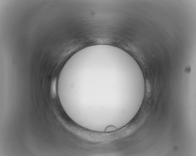 X0000091300028200708101057
