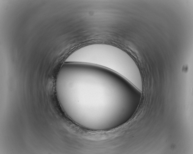 X0000091300029200708101057