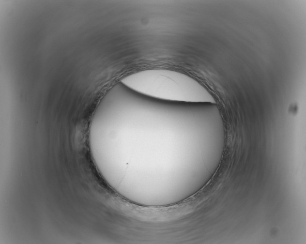 X0000091300030200708101057