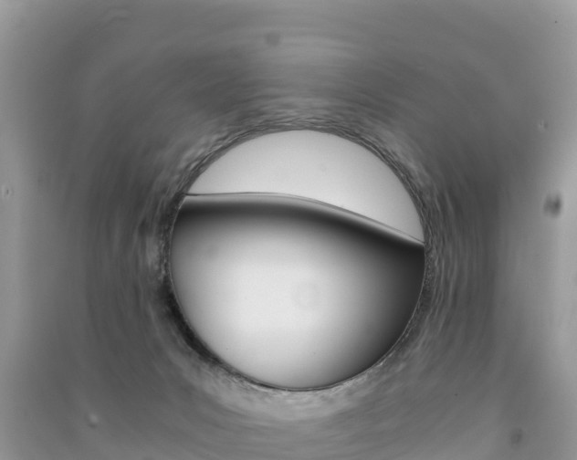 X0000091300031200708101057