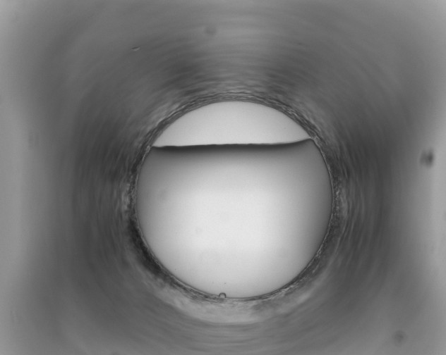 X0000091300032200708101057