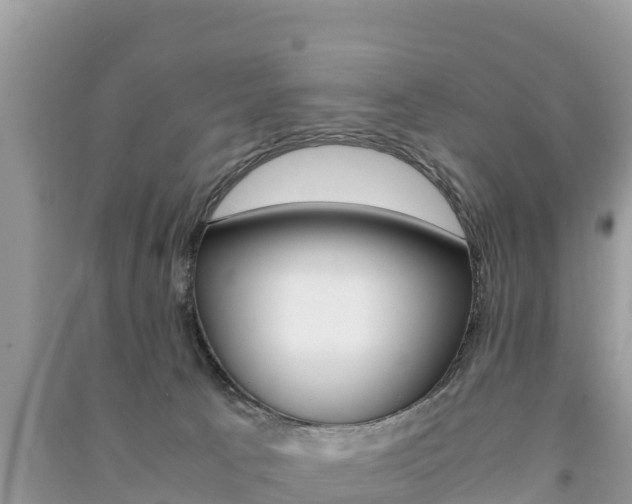 X0000091300033200708101057
