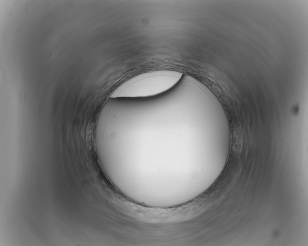 X0000091300034200708101057