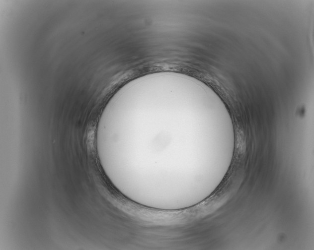 X0000091300036200708101057