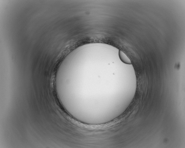 X0000091300038200708101057