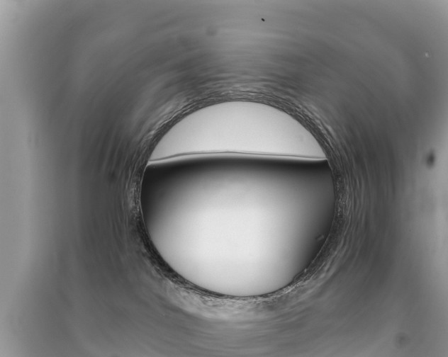 X0000091300044200708101057