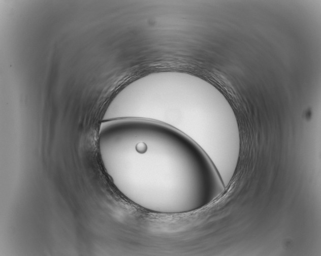 X0000091300045200708101057
