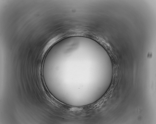 X0000091300051200708101056