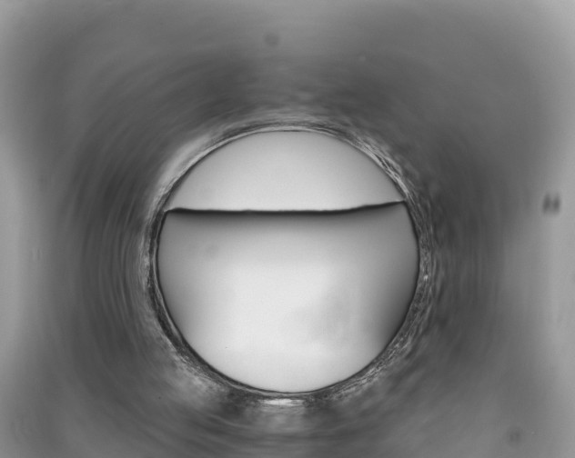 X0000091300053200708101057