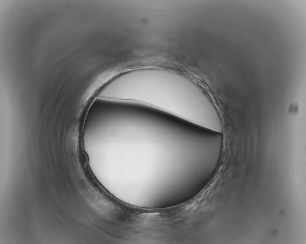 X0000091300054200708101057
