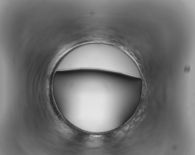 X0000091300055200708101057