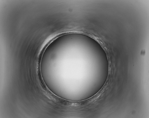 X0000091300056200708101057
