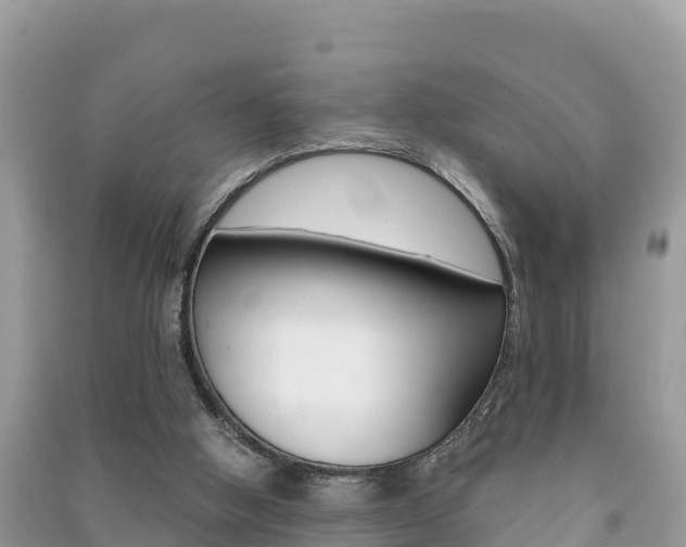 X0000091300058200708101057