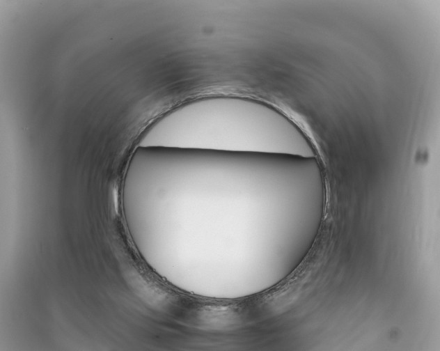 X0000091300061200708101057