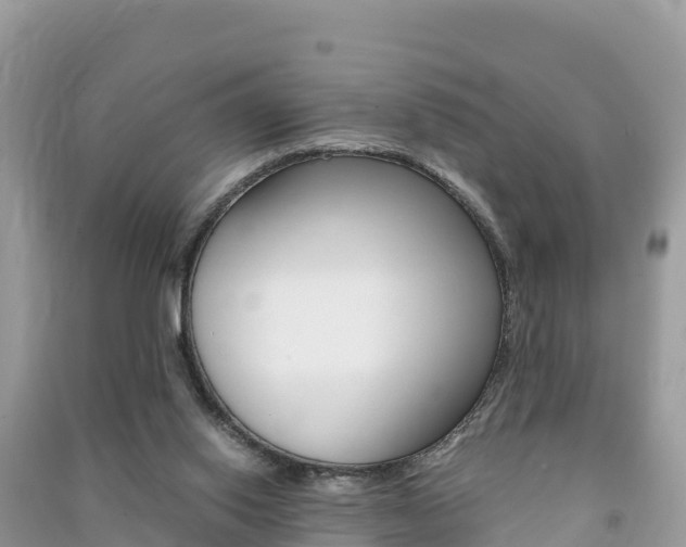 X0000091300062200708101057