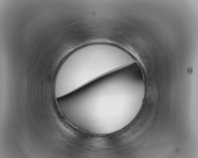 X0000091300063200708101057