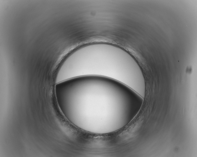 X0000091300064200708101057