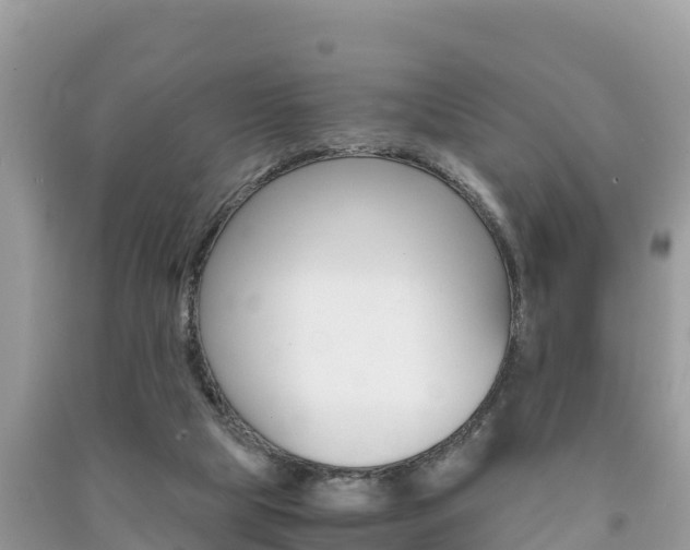 X0000091300065200708101057
