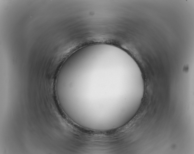 X0000091300066200708101057