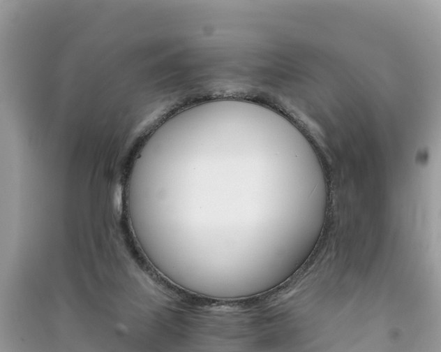 X0000091300067200708101057