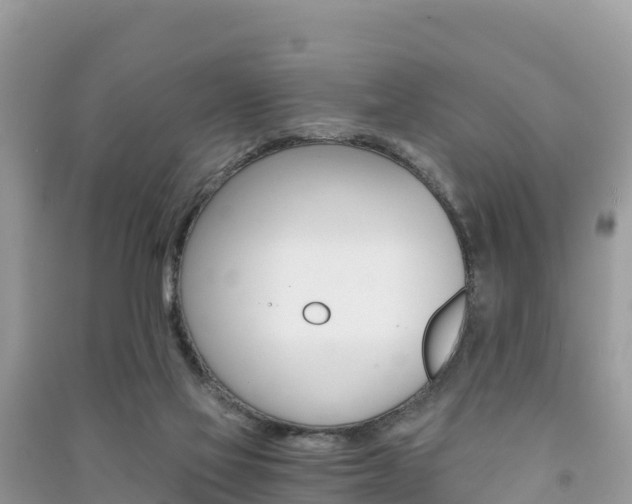 X0000091300069200708101057
