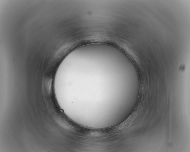 X0000091300070200708101057
