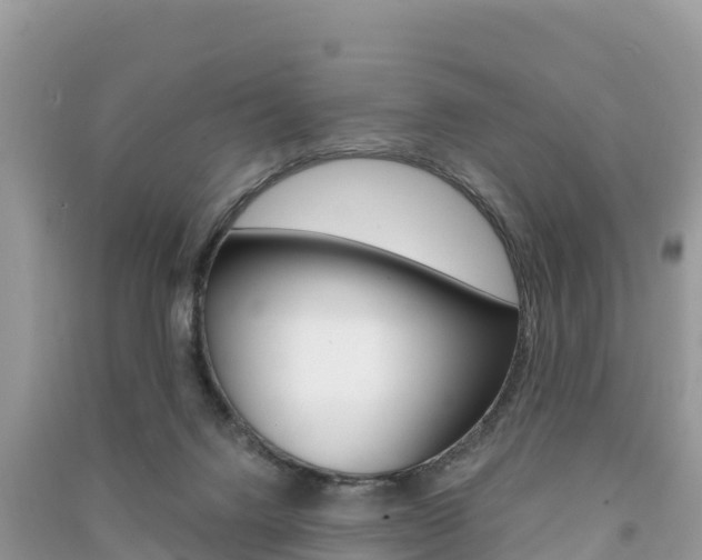 X0000091300072200708101057