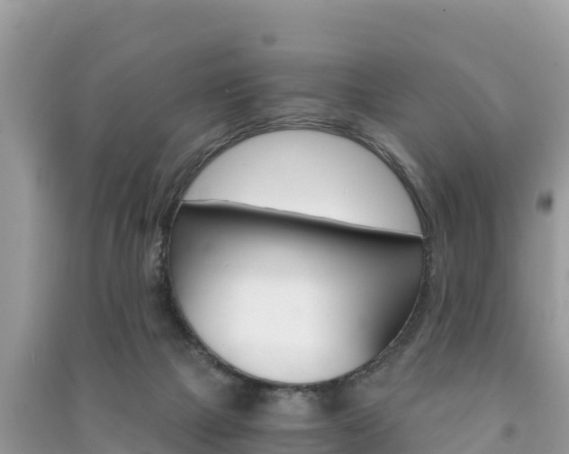 X0000091300073200708101057