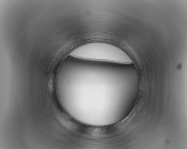 X0000091300074200708101057