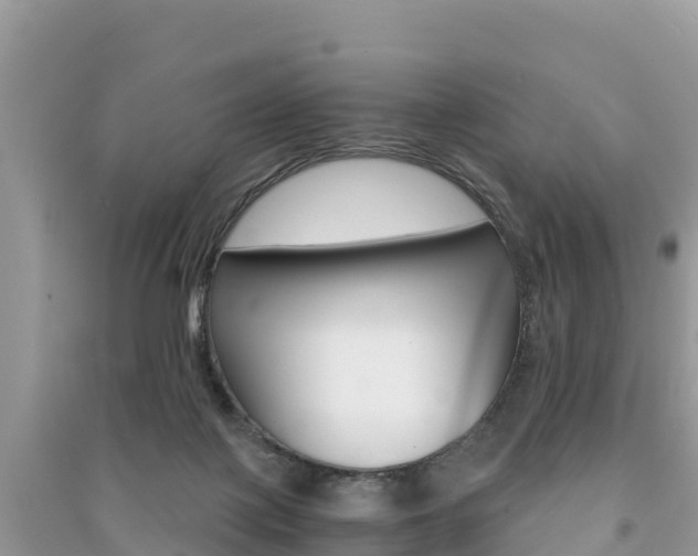 X0000091300075200708101057