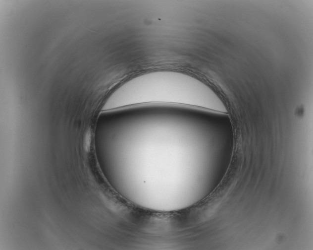 X0000091300076200708101057