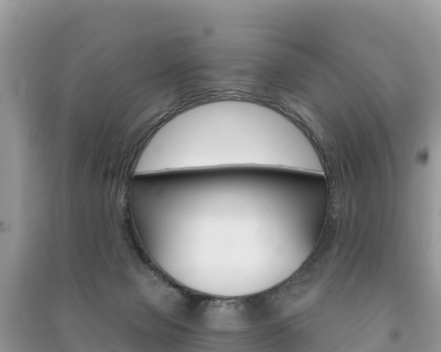 X0000091300077200708101057