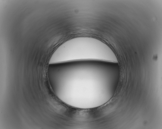 X0000091300078200708101057