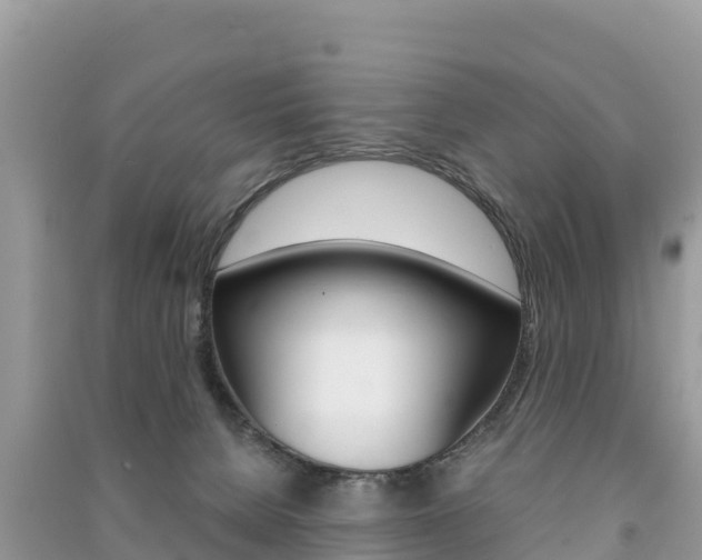 X0000091300080200708101057