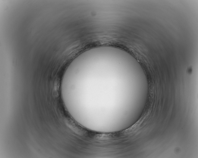 X0000091300082200708101057