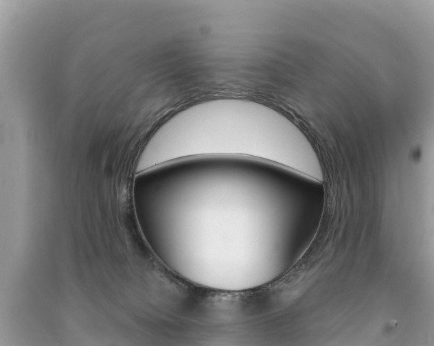 X0000091300084200708101057